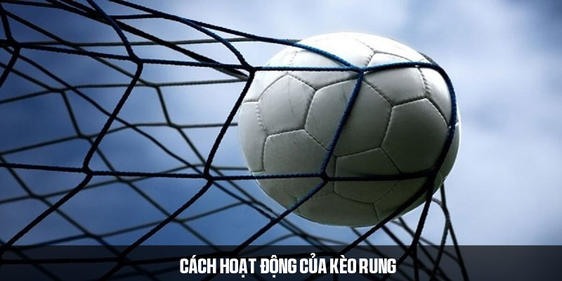 Cách hoạt động kèo rung